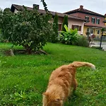 Appartement Birgit Leibnitz