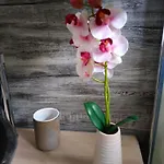 Appartement Birgit *
