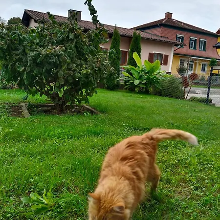 شقة Birgit ليبنيتز