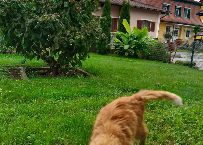 아파트 Birgit 레이브니츠